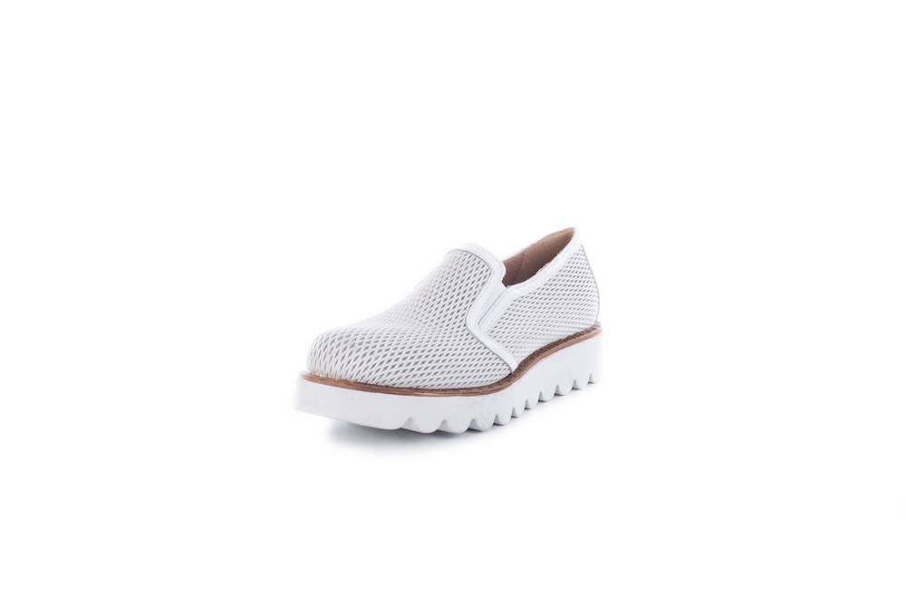 Jiudit Art.15361 Presa