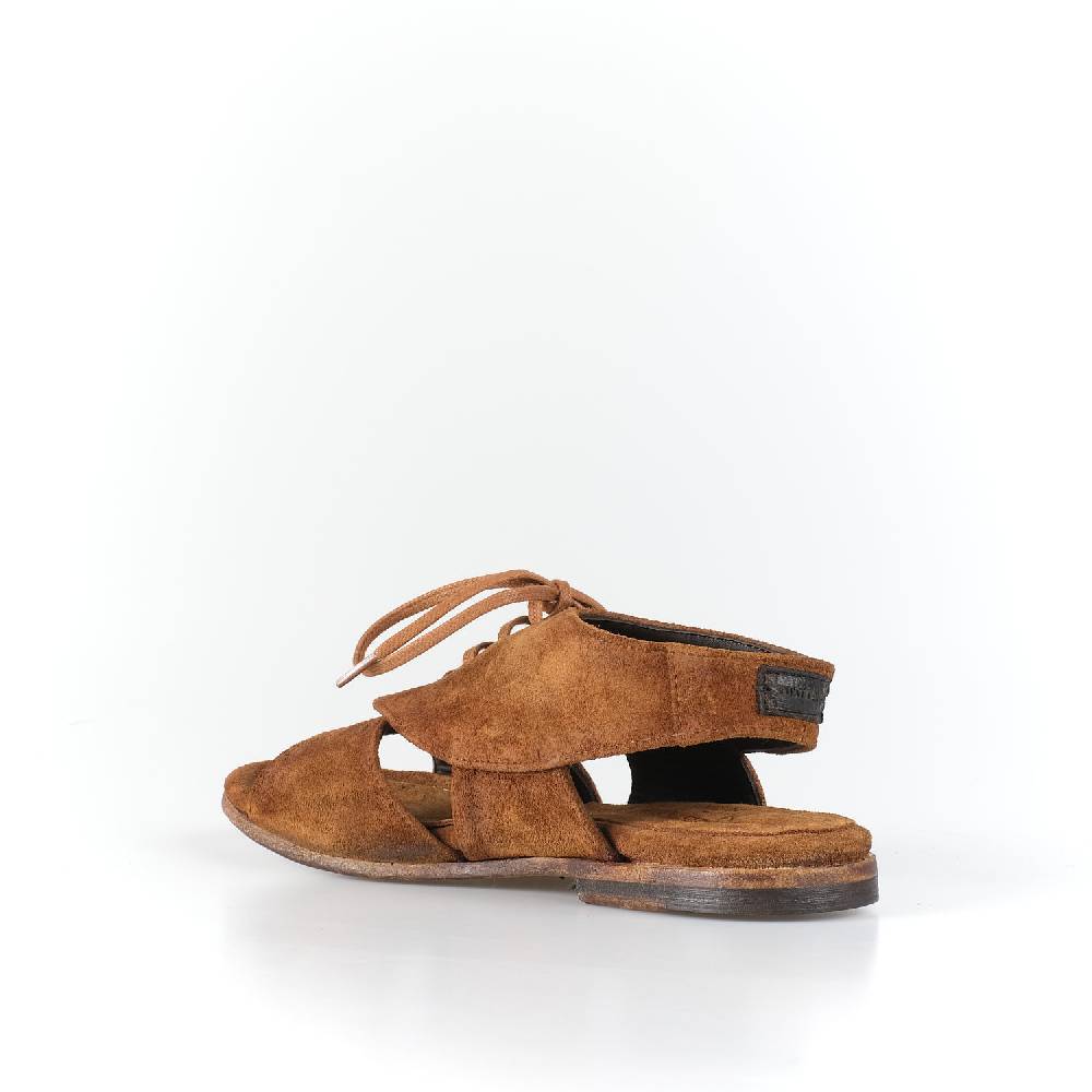 Le Ruemarcel AIRI 355 2025