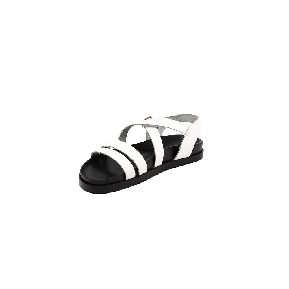 J.P. David Brio Moda