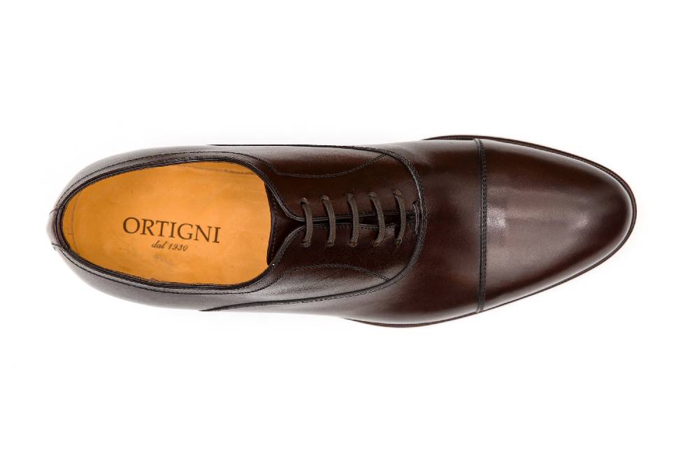 Ortigni 49.0440 Rama 2025