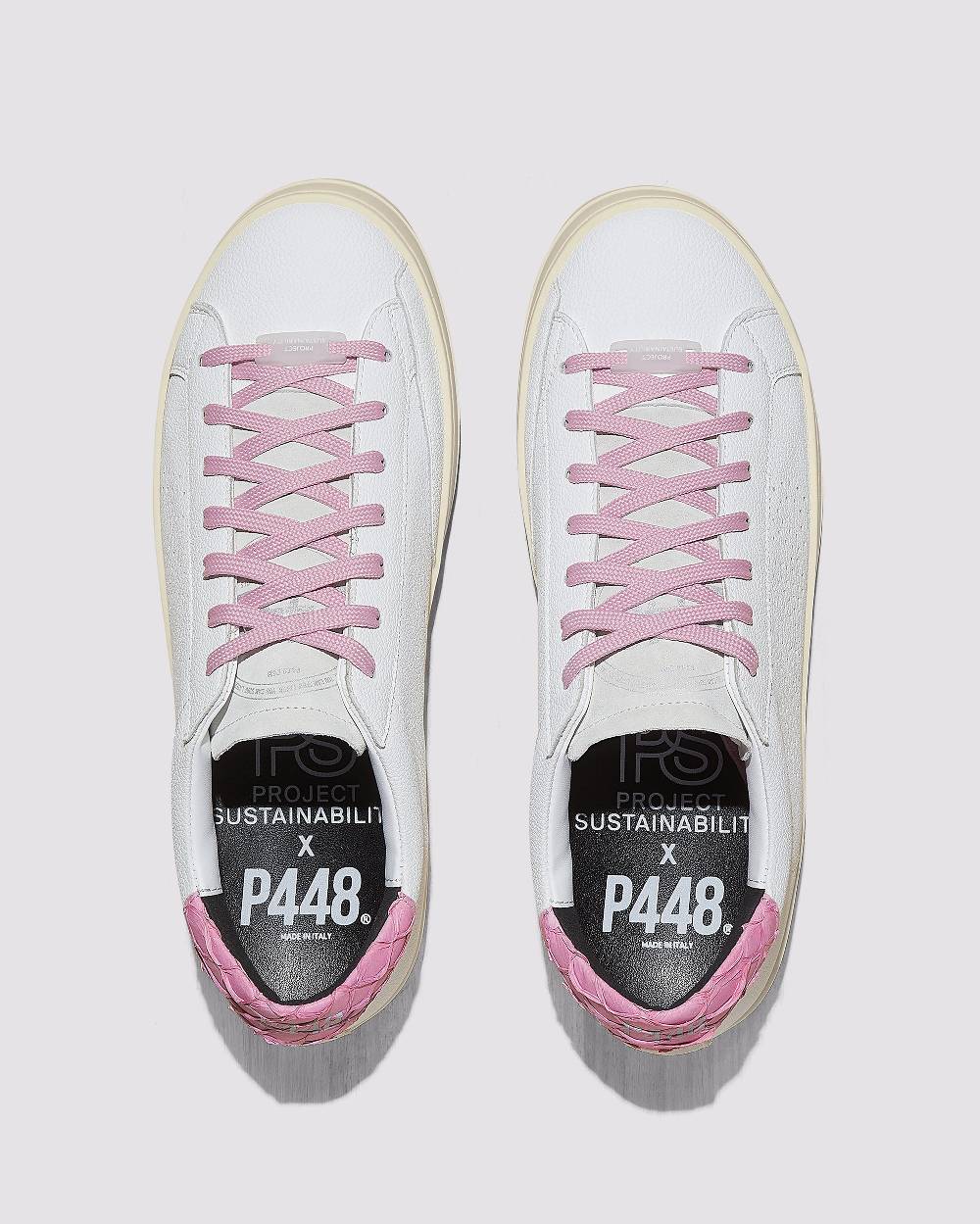 P448 John Carp/Pink Negozio