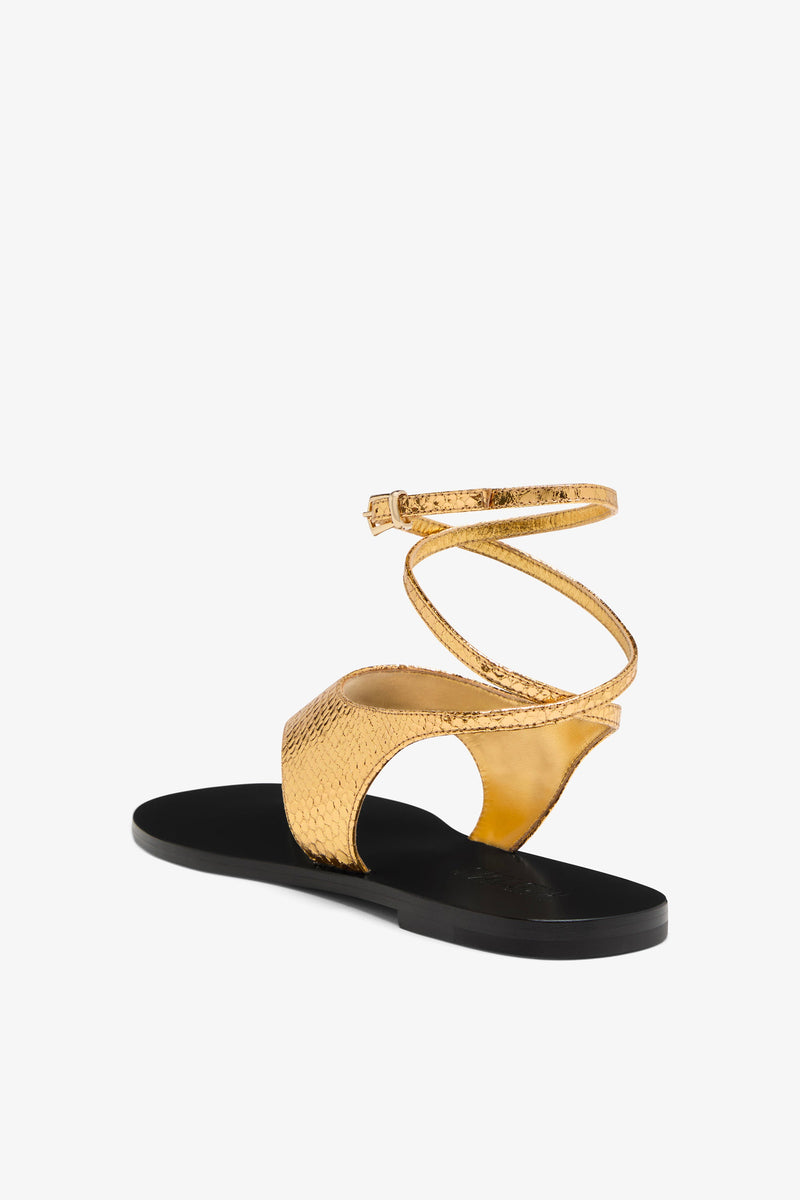 Paris Texas Amalfi Flat Sandal Moda