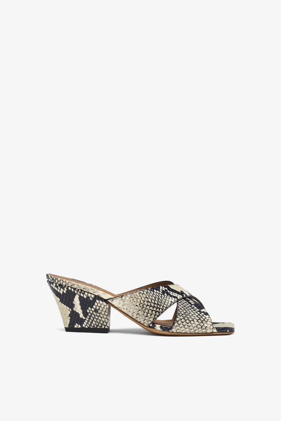 Paris Texas Arizona Mule 60