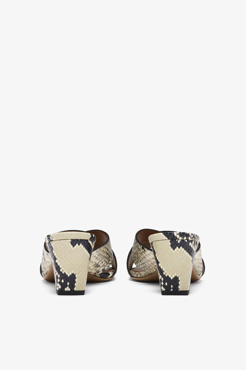 Paris Texas Arizona Mule 60 2025