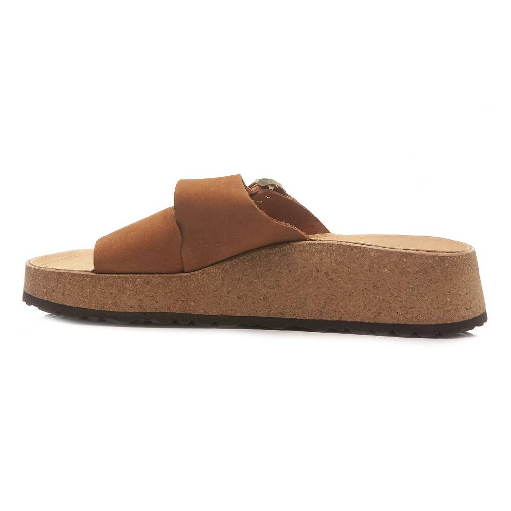 Papillio Almina 1026892 In Linea