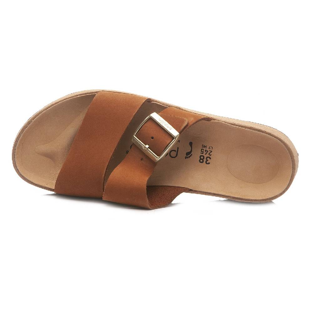 Papillio Almina 1026892 In Linea