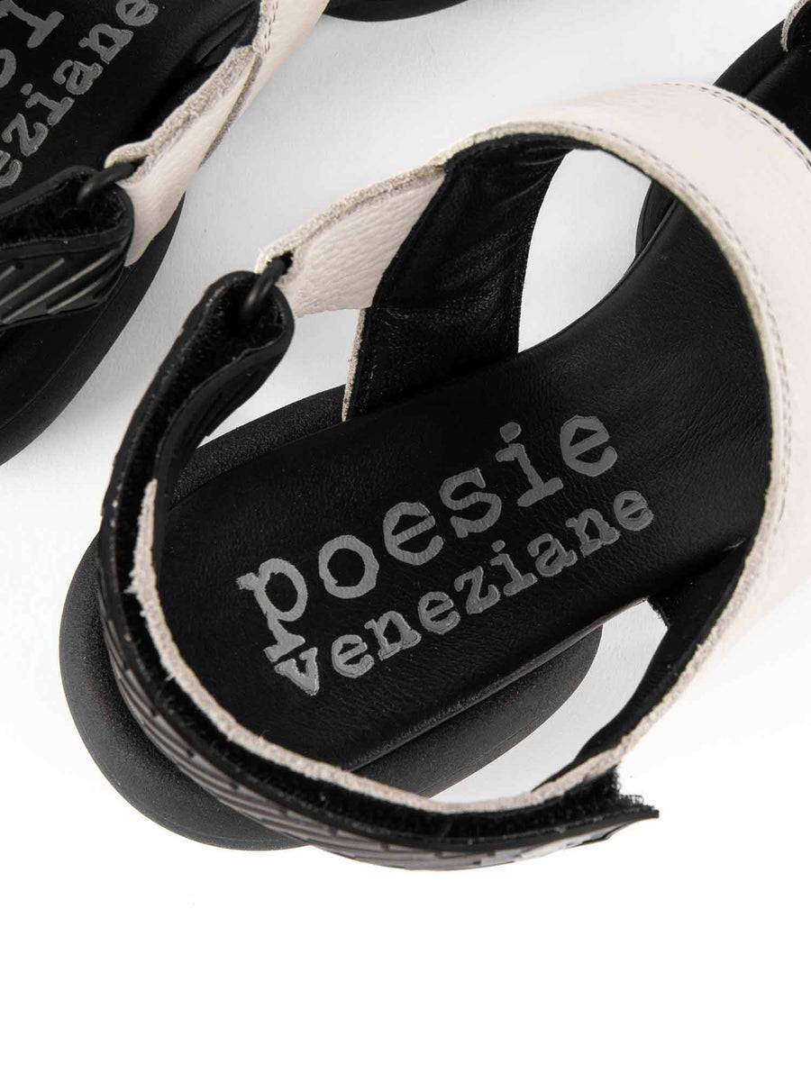 Poesie Veneziane ASH Spedizione Gratuita