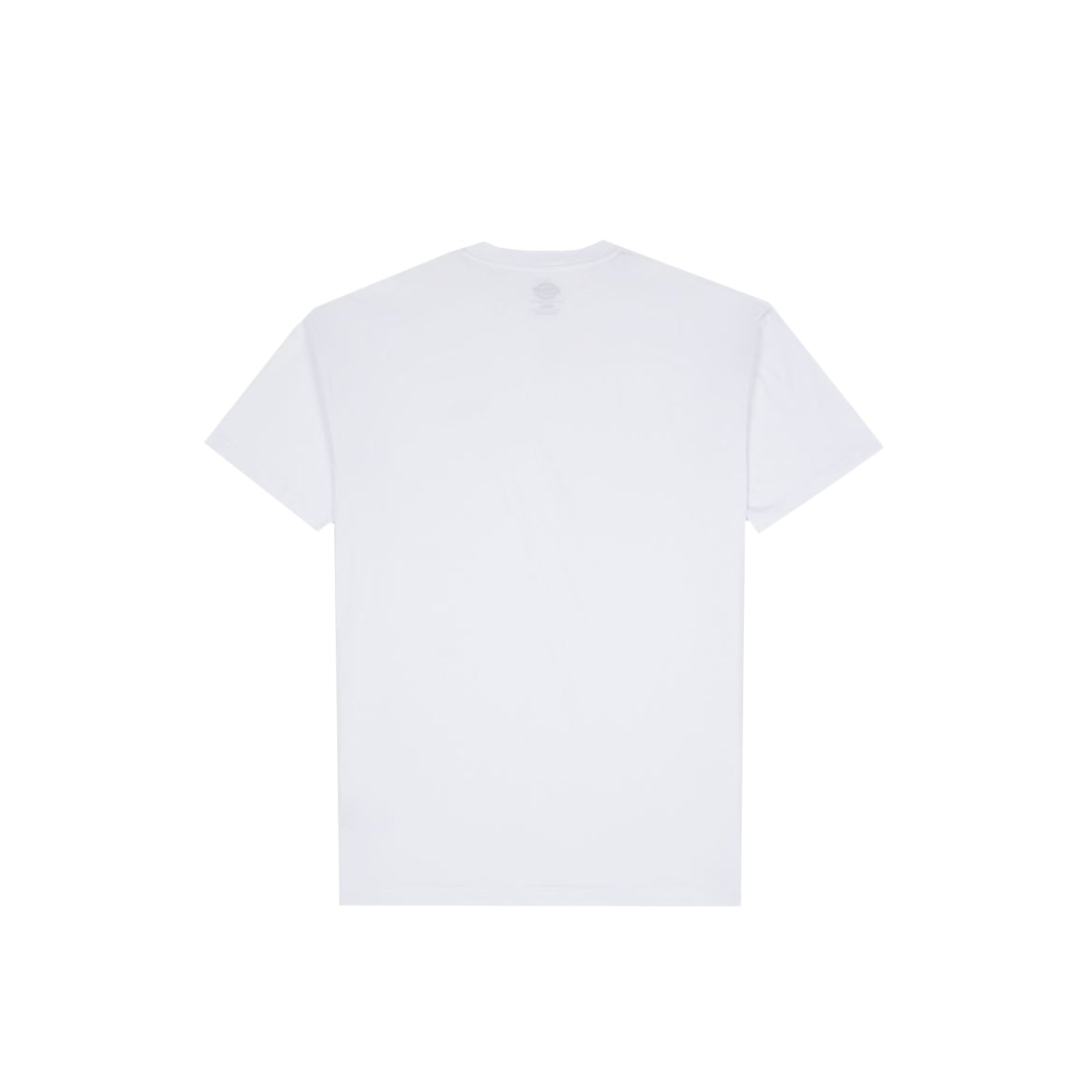 Dickies Mapleton Tee Dress In Linea