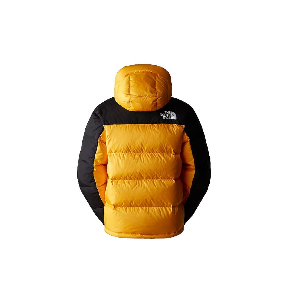The North Face Men's Hmlyn Down Parka Ritorno libero