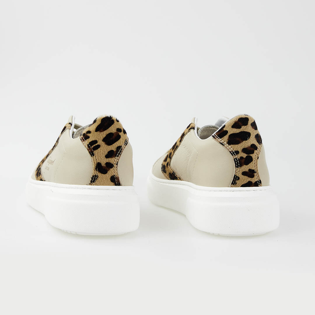 Valsport Tournament UP Crema Maculata Shopping Online