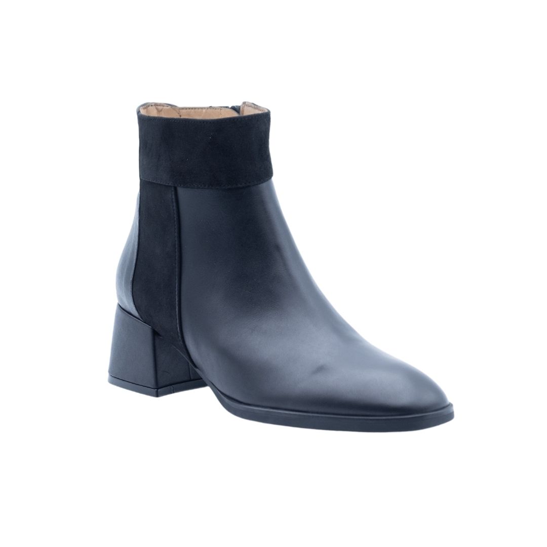 ALBANO Offerte