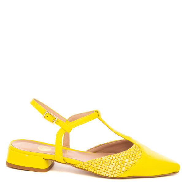 Andrea pinto Art.877 Offerte